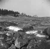 Furuviksparken invigdes 1936

1950 var ett år då Furuviksparken investerade kraftigt. Massor av djur köptes in.
Furuskär














