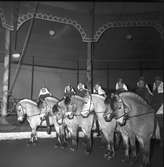 Furuviksparken invigdes 1936
Folkdanslaget Furuviks Ungdomslag och Barnkabarén blev Furuviksbarnen.
Ungdomscirkusen
Cirkusbyggnaden  Teater-Cirkus med cirka 600 platser, uppförd 1940.













