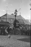 Furuviksparken invigdes pingstdagen 1936.
Furuviks Ungdomscirkus
