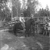 Furuviksparken invigdes pingstdagen 1936.

Folkdanslaget Furuviks Ungdomslag och Barnkabarén blev Furuviksbarnen