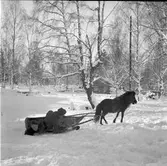 Furuviksparken invigdes pingstdagen 1936.

Vinterskoj i snön







