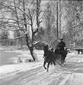 Furuviksparken invigdes pingstdagen 1936.

Vinterskoj i snön







