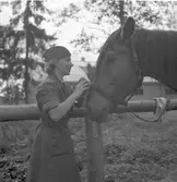RÖDA STJÄRNAN
Föreningens ändamål - organiserad vård för djuren under krig.
Med frivillig hjälp genom insamling av medel.
Att kunna hjälpa till med erforderlig veterinärhjälp och djurvård.





