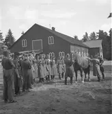 :: RÖDA STJÄRNAN
Föreningens ändamål - organiserad vård för djuren under krig.
Med frivillig hjälp genom insamling av medel.
Att kunna hjälpa till med erforderlig veterinärhjälp och djurvård.





