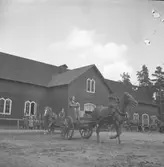 :: RÖDA STJÄRNAN
Föreningens ändamål - organiserad vård för djuren under krig.
Med frivillig hjälp genom insamling av medel.
Att kunna hjälpa till med erforderlig veterinärhjälp och djurvård.





