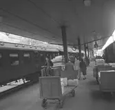 Centralstationen
Perrongen








