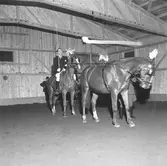 Godsägare Söderhjelm, elevuppvisning i ridhuset.

