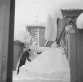 Snösvängen i Gävle

