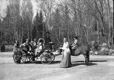 Furuviksparken invigdes pingstdagen 1936.

Zigenarebesök i parken. Kvinna med pipa.
En björnunge sitter fast i en kedja.







