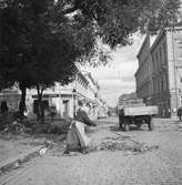 Höststormen

September 1937