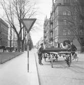 Vårbilder

1 maj 1938
