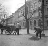 Vårbilder

1 maj 1938
