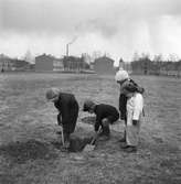 Vårbilder

1 maj 1938
