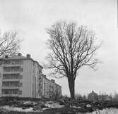 Almen vid korsningen Luthergatan och Bergsgatan


