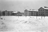 Nybyggen. Januari 1942
