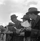 Män vid ett trådstaket

Ev. travbanan




























