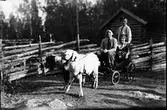 Furuviksparken invigdes 1936

Folkdanslaget Furuviks Ungdomslag och
Barnkabarén blev Furuviksbarnen













