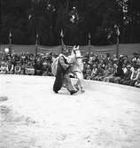Furuviksparken invigdes 1936

Cirkus

Folkdanslaget Furuviks Ungdomslag och
Barnkabarén blev Furuviksbarnen













