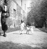 Holgerssons flicka med mor och hund
ute på gräsmattan








