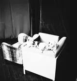 Fru Gallon
foto av hundvalpar