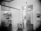 Kållners Damfrisering