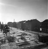 Stadsvy över nybyggda fastigheter Brynäs, på Väpnargatan. 1948.