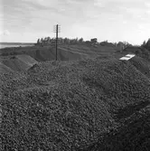 Kolhögar. 1948. Reportage för Gefle Dagblad.
