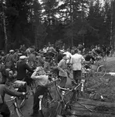 Konsum Alfa vedspillningsinsamling, cirka 1945.
