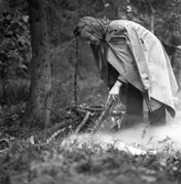 Konsum Alfa vedspillningsinsamling, cirka 1945.
