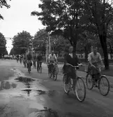 Konsum Alfa bärplockningsutflykt, cirka 1945.
