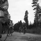 Konsum Alfa bärplockningsutflykt, cirka 1945.
