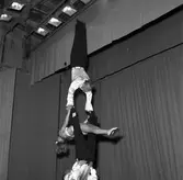 Malmstenstruppen uppträder på folkparken. Juli 1945.