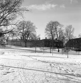 Gävles första daghem. 5 mars 1945 öppnade Stenebergsgården, Brynäs. Första institution för halvöppen barnavård. Verksamheten var uppdelad på en barnträdgård, ett daghem och ett eftermiddagshem.

