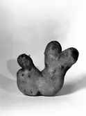 Potatis. 4 oktober 1946. Reportage för Arbetarbladet.