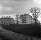 Bostadshus vid Luthergatan och Bergsgatan i Gävle. 1946.