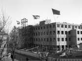 Folkets Hus taklagsflaggning. 1946.
