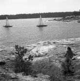 SM-tävling i segling. 1946.