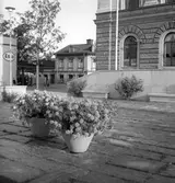 Stenpartiet framför rådhuset. 7 september 1946. Grythytte Skifferbruk, Grythyttehed.