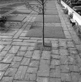 Stenpartiet framför rådhuset. 7 september 1946. Grythytte Skifferbruk, Grythyttehed.