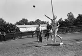 Gästrikland - Hälsingland. Friidrott på Strömvallen.         26 juli 1953.
