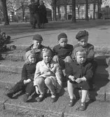 Rörbergsbarn i Stenebergsparken. 8 maj 1953.