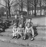 Rörbergsbarn i Stenebergsparken. 8 maj 1953.