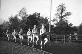 Strömvallen, 1000 meter löpning. Den 26 september 1953. Dan Waern leder, Olle Åberg trea och som femma Sune 