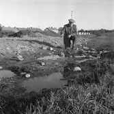 Sörby källan. 16 september 1953.
