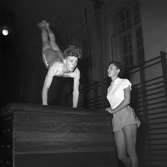Gymnastik och idrott, läroverket (Vasaskolan).            23 november 1953.