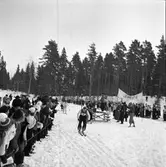 Konsum Alfa. Skidtävling vid Rödjningen. 9 mars 1941.