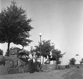 Brevduvor reportage. 28 juni 1953. Muren runt Staffanskyrkan på Brynäs, Gävle.