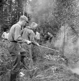 Skogseld. 28 juni 1953.