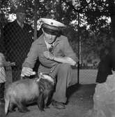 Furuviksparken. Djur och djurskötare. 22 juli 1953.
Reportage.