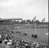 Hushållningssällskapet. Gävleutställningen sommaren 1946 vid Travbanan. Lantbruksmöte